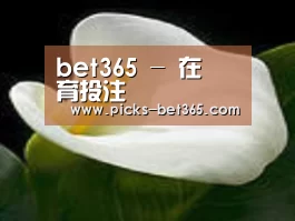 产品名称七