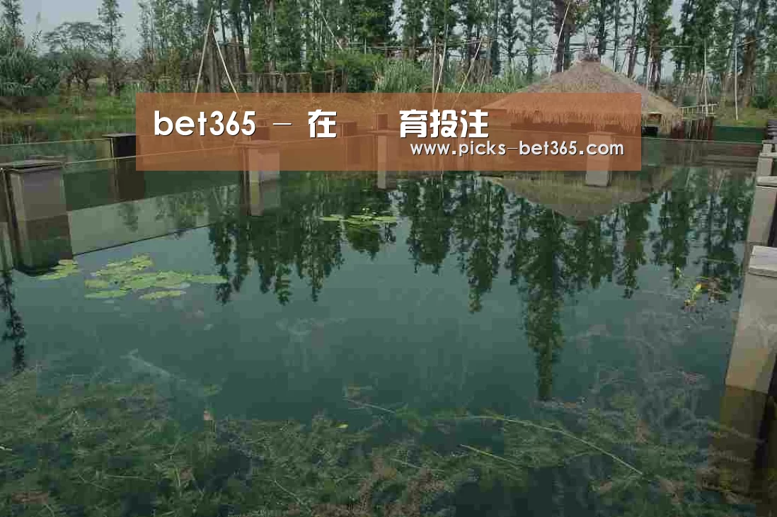 案例展示二