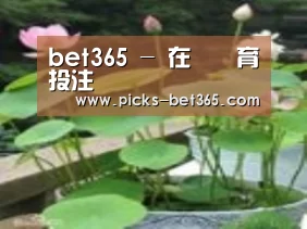 产品名称一