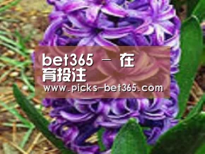 产品名称八